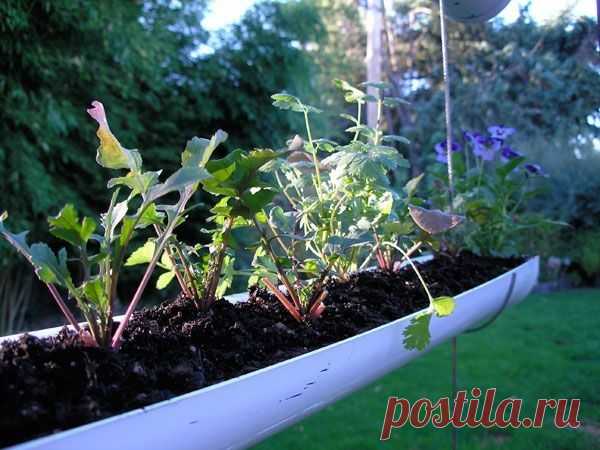 Подвесные грядки из ПВХ своими руками