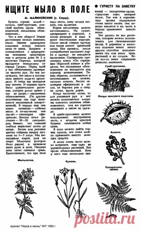 Растительная замена мыла