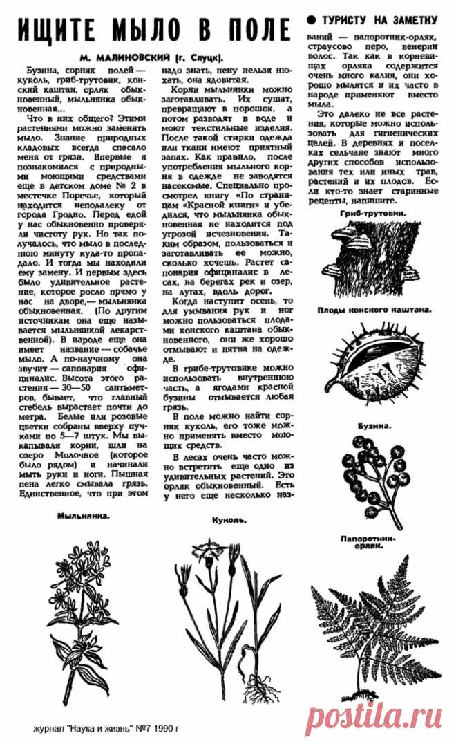 Растительная замена мыла