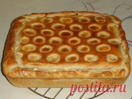 Рыбный пирог" Клондайк" 

Нина Стрекаловская 
Пирог сказочно вкусный получается. Как-то принесла на работу, сменщицу угостила. Она говорит, мол поеду домой, Иванову (это ее муж) отвезу. Минут через 30 звонит телефон: "Нина, - говорит, - вышла из автобуса, заглянула в сумку, а оттуда ТАКОЙ аромат, что не удержалась... Вот, уже доедаю... Перебьется Иванов!" А название придумал мой зять. Как увидел пирог разрезанным и выдал. Говорит, что полоска рыбы напомнила ему золотую жил...