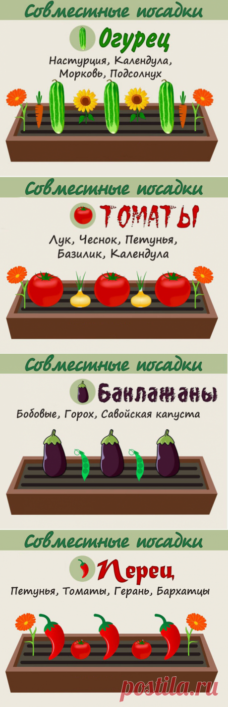 (3) Одноклассники
