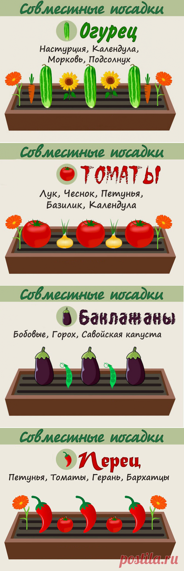 (3) Одноклассники