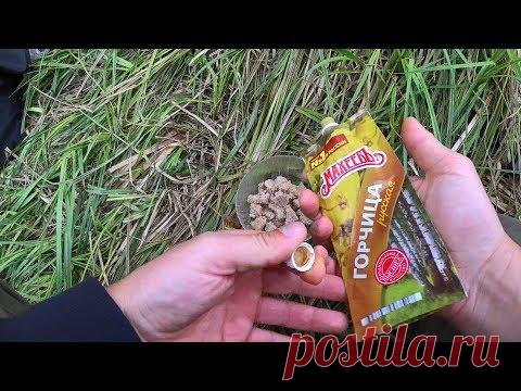 ГОРЧИЦА БОМБА для КАРАСЯ И РАКОВ! Подводная съемка