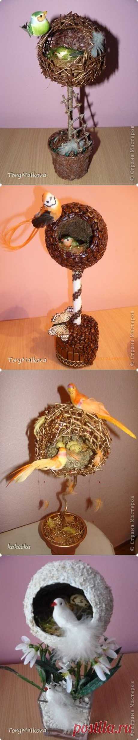 Оригинальные топиарии &quot;Птичьи гнезда&quot;