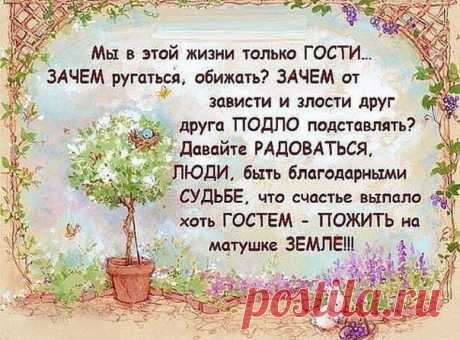 Добрые Новости