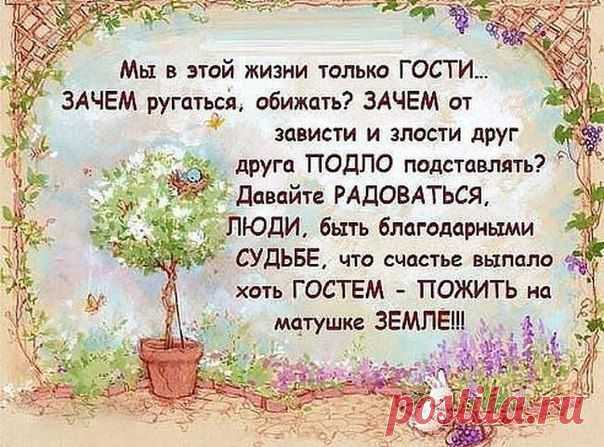 Добрые Новости