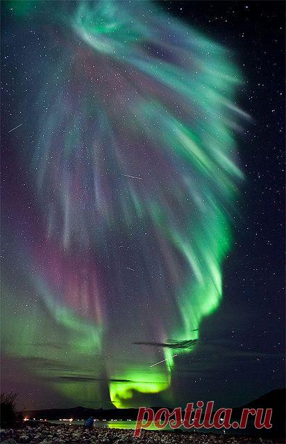 Найдено на сайте thesoholoft.com.