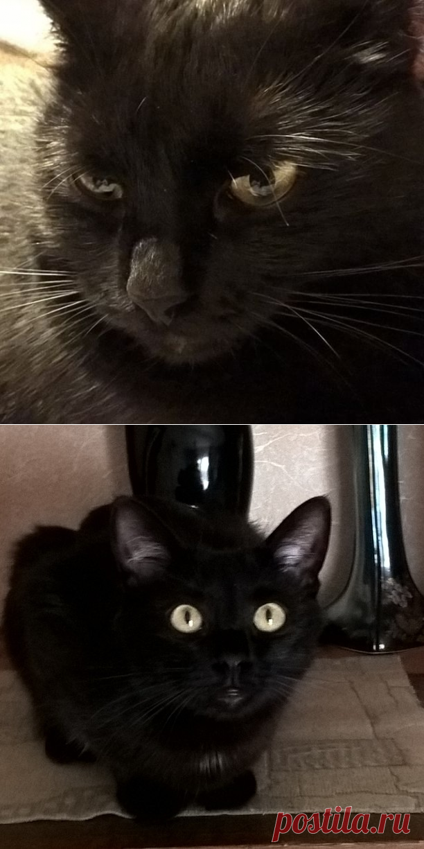 Elena Diachkova (@diachkovaelen) • Фото и видео в Instagram