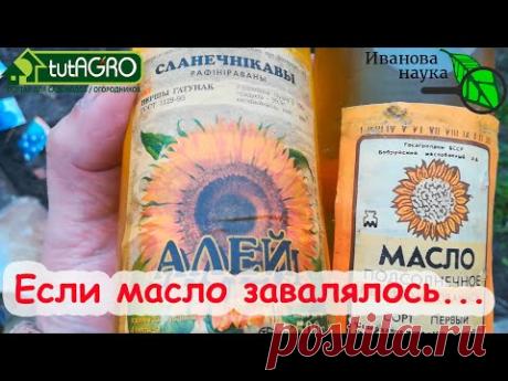 ГОРАЗДО ЛУЧШЕ ХИМИИ! КАК ИСПОЛЬЗОВАТЬ МАСЛО В САДУ и ОГОРОДЕ от БОЛЕЗНЕЙ и ВРЕДИТЕЛЕЙ? Эмульсия и тд