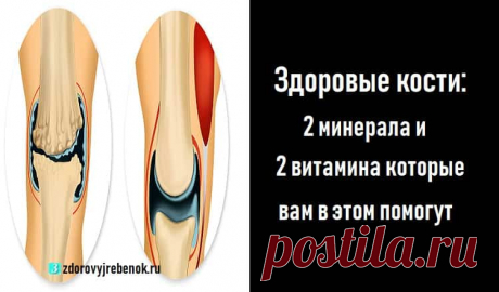 Здоровые кости: 2 минерала и 2 витамина которые вам в этом помогут Здоровые кости: 2 минерала и 2 витамина которые вам в этом помогут.Информация, даже очень важная, имеет обыкновение со временем тускнеть