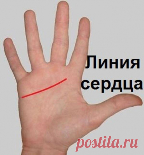 КАК ГАДАТЬ ПО РУКЕ САМОСТОЯТЕЛЬНО?
