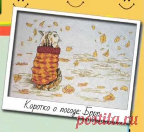 схема для вышивки крестом кота Коротко о погоде из буклета Улыбка