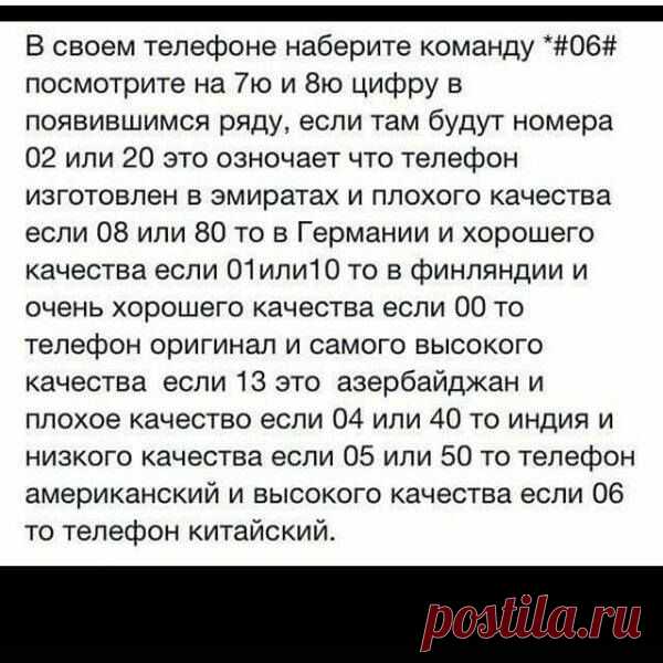 (41) оля чик