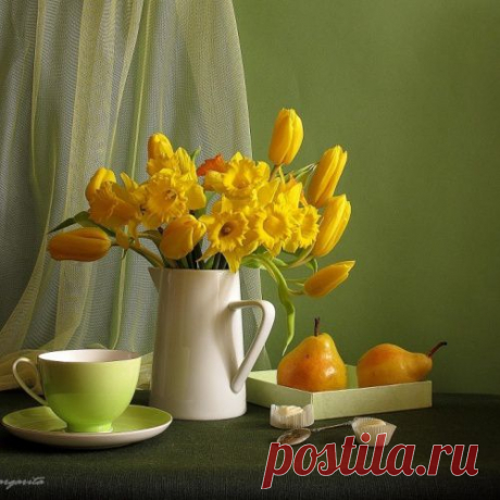 Фотонатюрморты Маргариты Епишиной