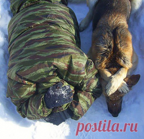 Вспышка сзади!