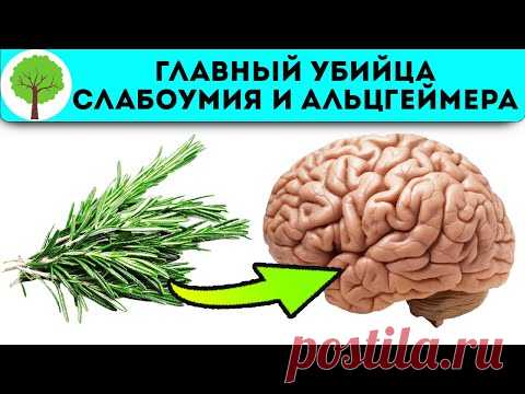 Творит чудеса с памятью и сосудами мозга! Мощная трава для сердца, иммунитета, здорового сна…