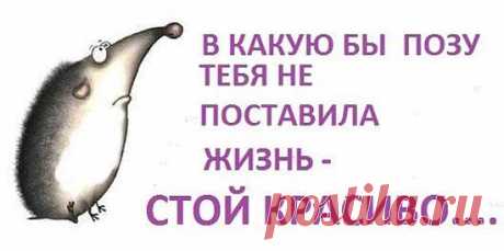 Прикольные высказывания в картинках