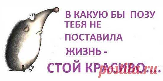 Прикольные высказывания в картинках