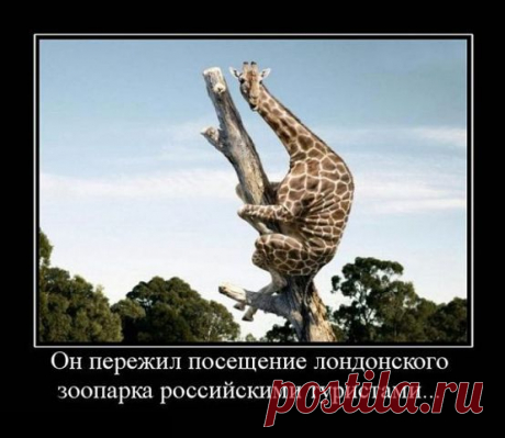 Хи-хи-хи...ржака!
САША БЕРЕЗИН