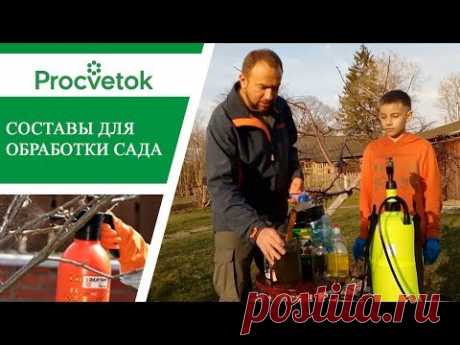 Искореняющая обработка сада. Обработка плодового сада от болезней и вредителей.