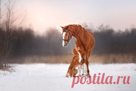 Первая встреча — National Geographic Россия