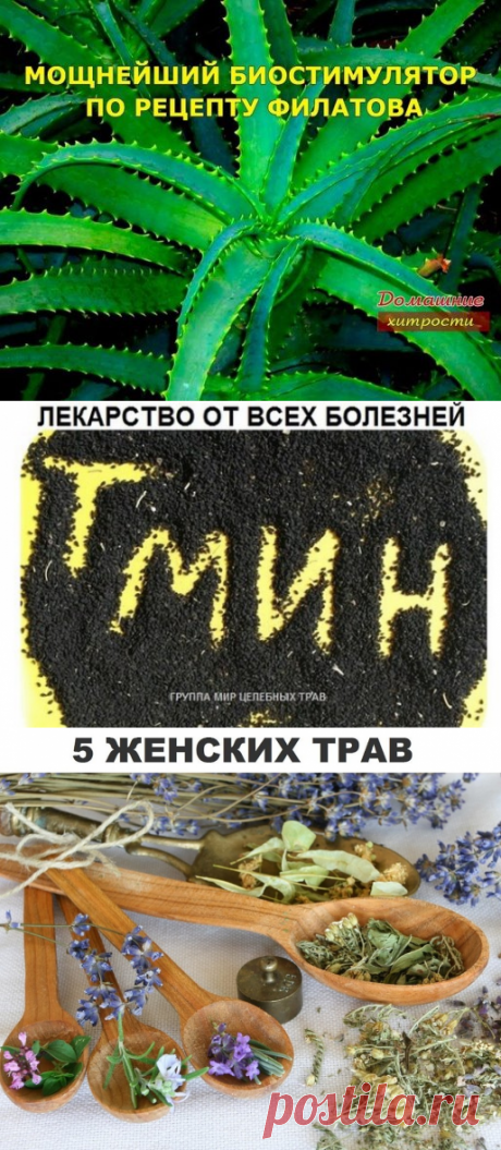 (65) Одноклассники