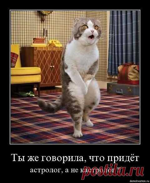 Смешное рядом