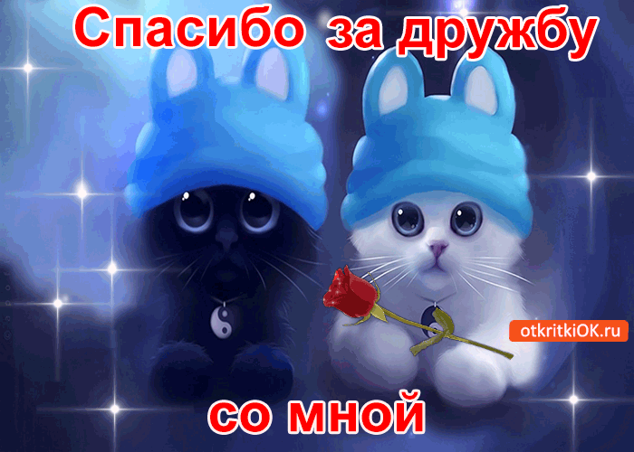 Спасибо за дружбу со мной! - Бесплатные Открыки на otkritkiok.ru