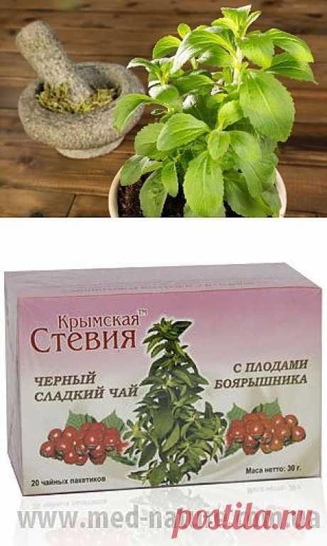 Стевия - универсальное средство для похудения и от многих заболеваний!.