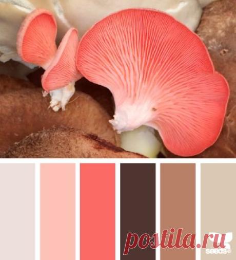 (970) Pinterest: инструмент для поиска и хранения интересных идей