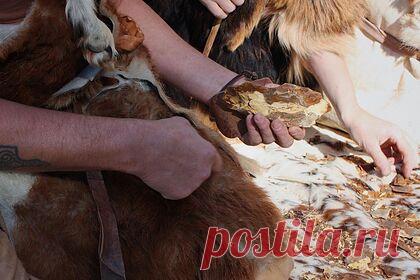 Российский музей-заповедник начнет обучать ремеслам каменного века. Воронежский музей-заповедник «Костенки» запустит рубрику «Мастерская каменного века», в рамках которой всех желающих начнут обучать ремеслам каменного века. В пресс-службе российского музея-заповедника указали, что небольшие видео-уроки планируется публиковать на всех онлайн площадках.