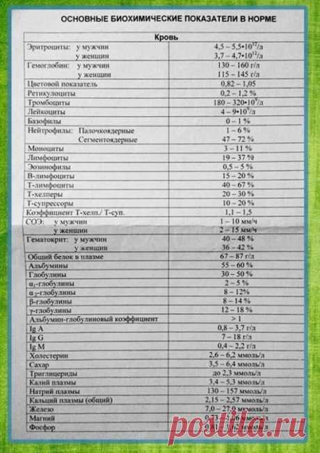 Нормы анализов. Сохраните себе!