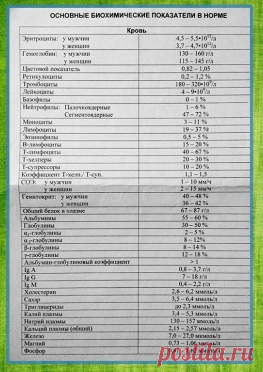 Нормы анализов. Сохраните себе!