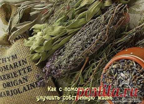 (20) Одноклассники