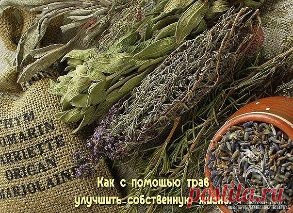 (20) Одноклассники