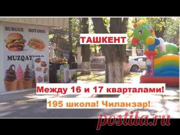 Ташкент! Иду вдоль 16 квартала напротив 17 квартала! 195 школа и До бывшего СовПластИтал Апрель 2025