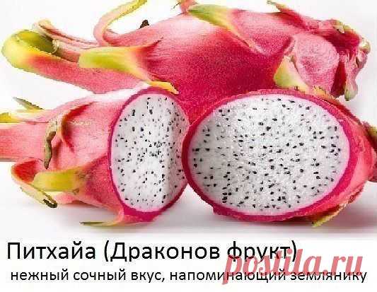 ххххххххххх