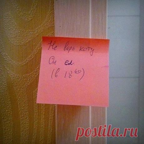 сдали......с потрохами)))))