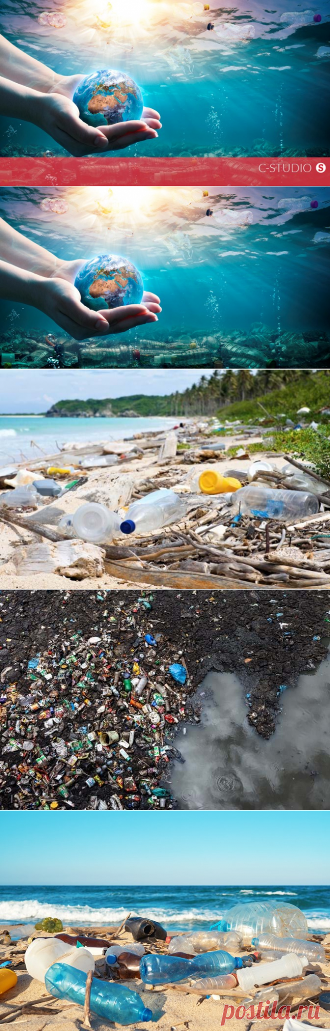 Neste Dia Nacional do Mar vamos dizer não à poluição por plástico - C-Studio - SÁBADO