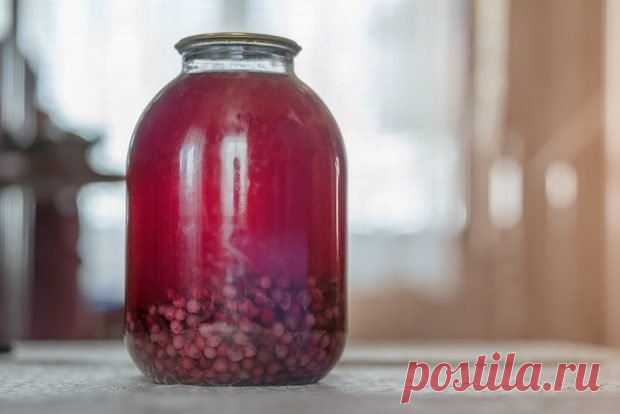 Компот на зиму из красной смородины — Сад Заготовка