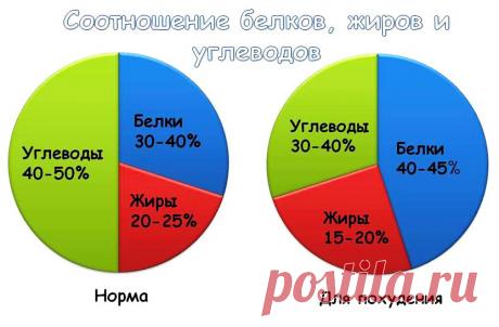 Как рассчитать БЖУ для похудения. Суточная норма белков, жиров и углеводов с учетом вашего веса — Фитнесомания для каждого!