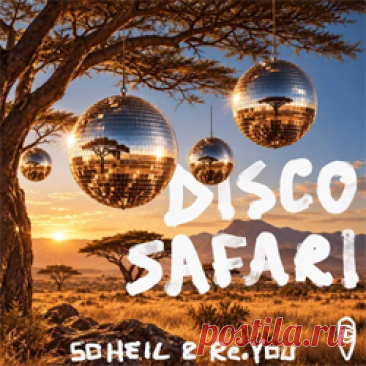 Soheil, Re.you - Disco Safari | 4DJsonline.com