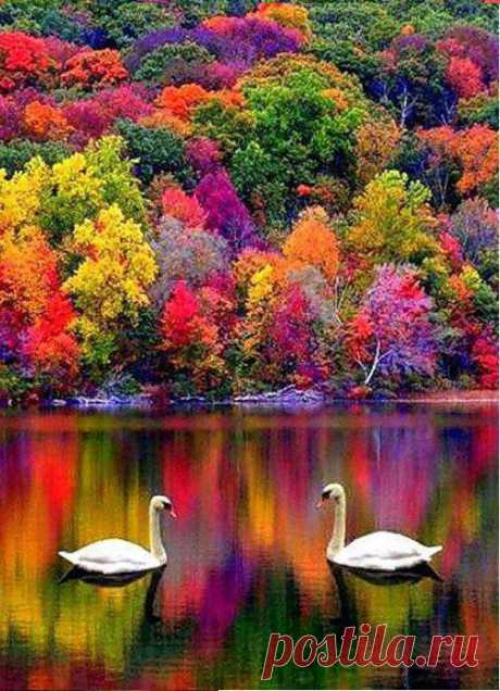 Autumn in New Hampshire | FollowPics