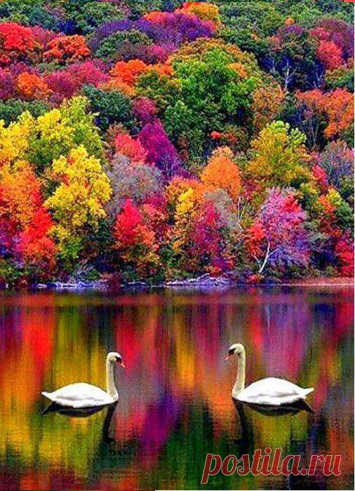 Autumn in New Hampshire | FollowPics
