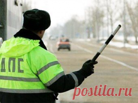 Госдума ввела скидку на штрафы для рас / Только машины