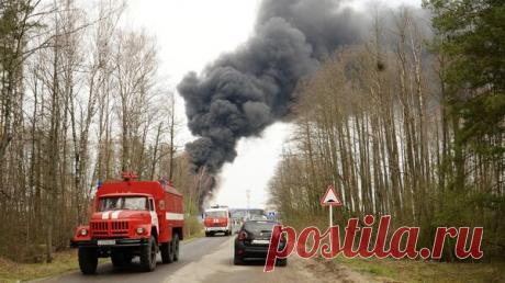 Росфинмониторинг внес комбрига ВСУ в перечень террористов