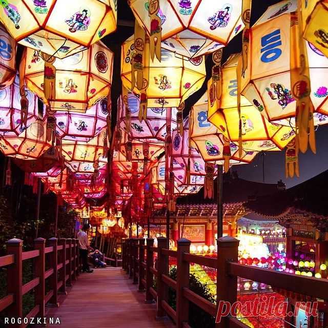 Опять про храм Самгванса #Samgwangsa #삼광사 (больше не буду 😳) Ночные фото в блоге. Ссылка кликабельна в профиле ☝

#Пусан #Busan #부산 #Корея #Korea #SouthKorea #한국 #ig_korea #ig_busan #ig_asia_ #впусане #koreatrip #koreatrip2015 #travelKorea #моипубликации #буддизм #деньрождениябудды #buddhism #불교