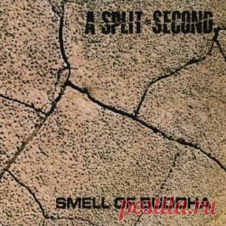 A Split Second - Smell Of Buddha (2023) [Single Remastered] Artist: A Split Second Album: Smell Of Buddha Year: 2023 Country: Belgium Style: EBM, New Beat, Industrial