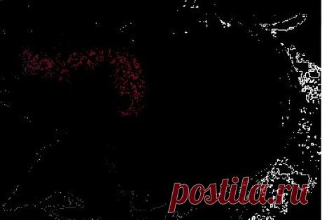 2 клубничных ликера:1)быстрый " Кремово-клубничный" и 2).не очень "Обычный Клубничный ".