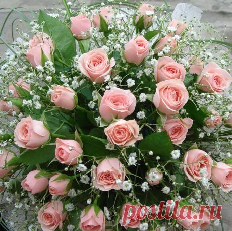 0_e10d_4f2aed1e_XL (800×796)